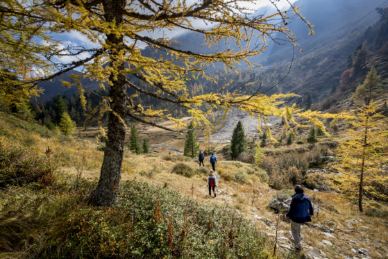 Hiking in Murau in the fall (c) Tom Lamm.