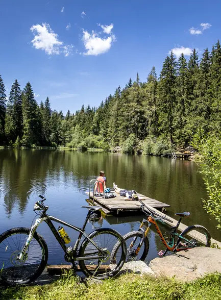 Experience the summer Experience the summer