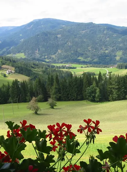 Bike Tour Great Probst Round Bike Tour Great Probst Round