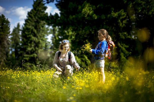 Family in a flower meadow around the Murauer Gasthof Hotel Lercher