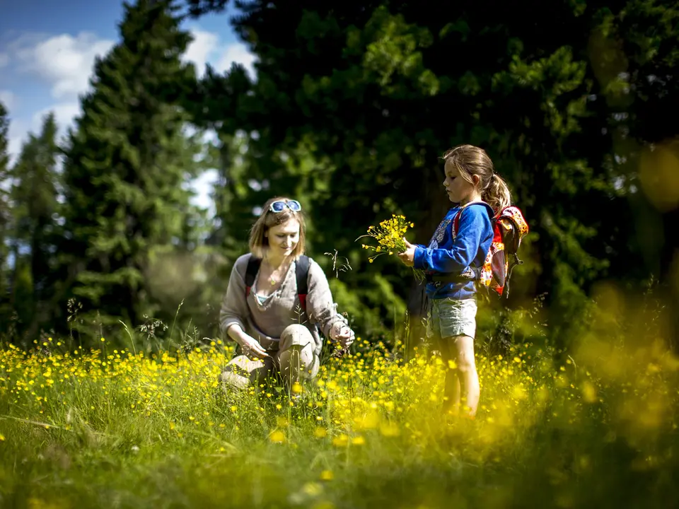 Family in a flower meadow around the Murauer Gasthof Hotel Lercher