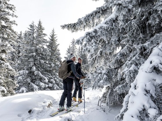 Guided Hikes & Tours
