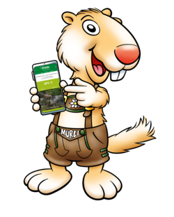 Mascot Murli shows a cell phone to the camera (c) TV Murau. Mascot Murli shows a cell phone to the camera (c) TV Murau.