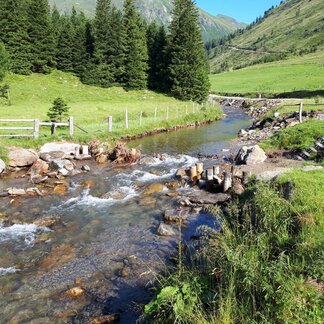 Small stream on a mountain pasture in Murau. Small stream on a mountain pasture in Murau.