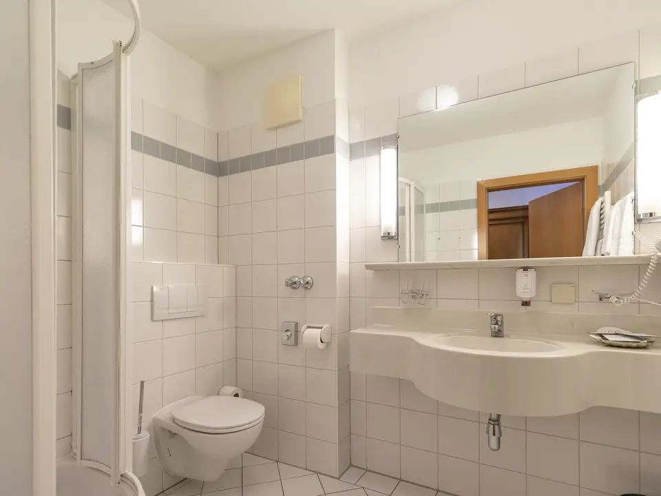 Hotel mansard room bathroom 4*