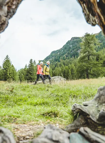 Path of the Senses Turracher Höhe