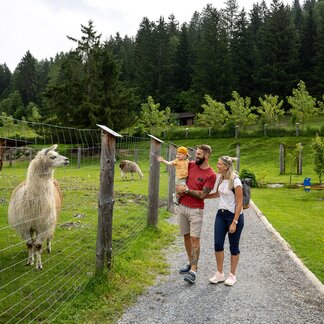 Scheifling Zoo with the Murau GuestCard © TV Murau | Tom Lamm. Scheifling Zoo with the Murau GuestCard © TV Murau | Tom Lamm.