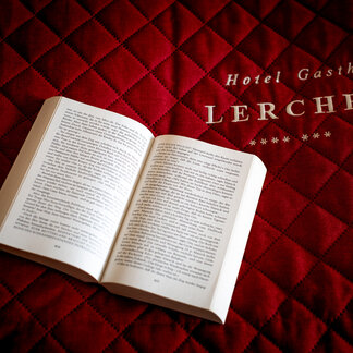 Book in the Murauer Room at Hotel Lercher. Book in the Murauer Room at Hotel Lercher.