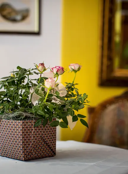 Contact & Request Contact & Request