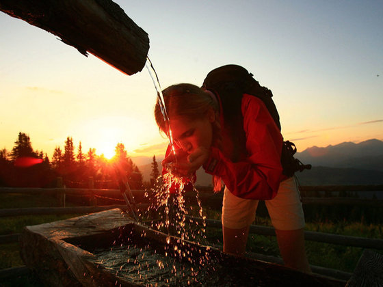 Guided Hikes & Tours