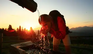 Guided Hikes & Tours