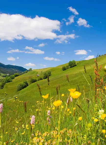 Cycling tour Small Probstrunde Cycling tour Small Probstrunde