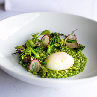 Wild garlic risotto in Murau Gasthof Hotel Lercher Wild garlic risotto in Murau Gasthof Hotel Lercher