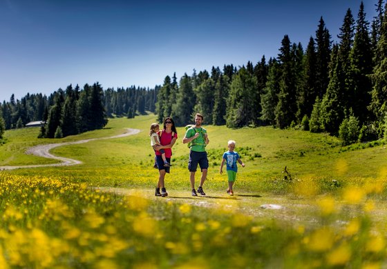 Summer with the family at Hotel Lercher in Styria © Tom Lamm 